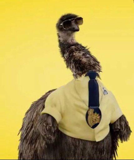 Limu the Emu